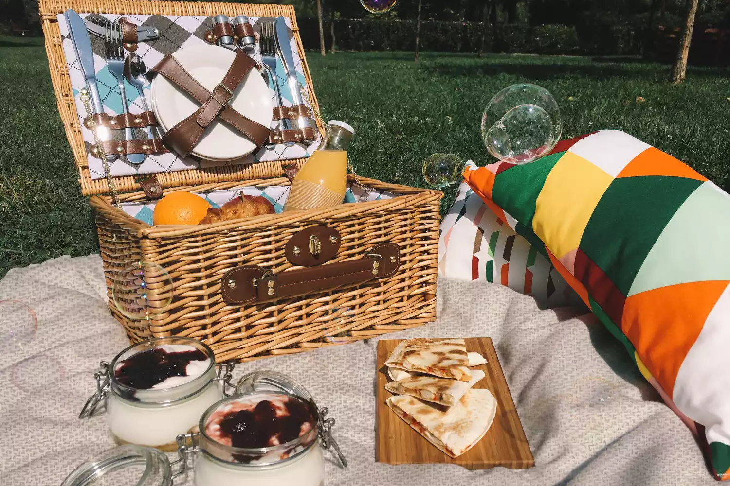 chic picnic blanket